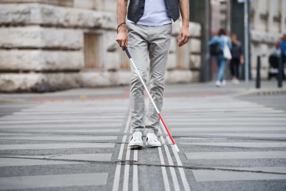 Low view of person with vision impairment cane walking through crosswalk.